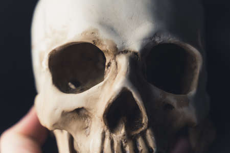 A person holding a real human ancient skull, upper half, eyes and nose close-up. High quality photoの写真素材
