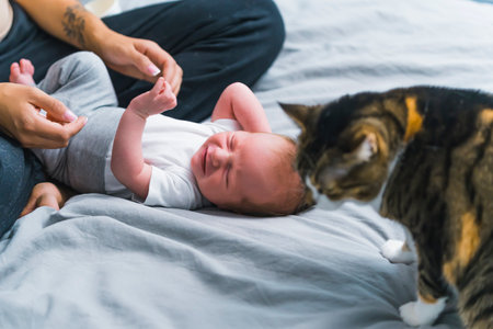 Relationship between pet animal and infant baby. Caucasian newborn baby boy experiencing new friendships with domestic tabby cat. High quality photoの写真素材