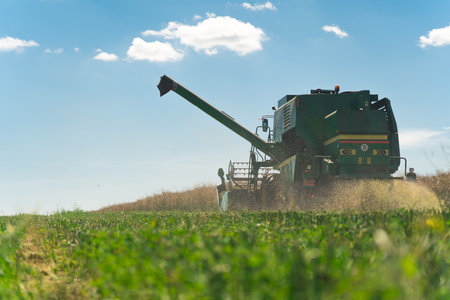 08.05.2022 - Warsaw, Poland - A big modern green combine harvester with a cutting bar or revolving reel and auger harvesting oilseed rape crop in a field. High quality photoのeditorial素材