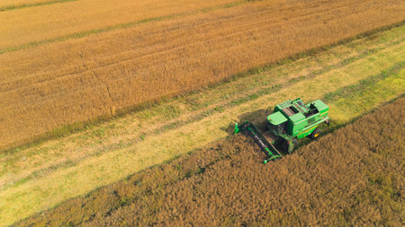 08.05.2022 - Warsaw, Poland - A red agricultural combine harvesting crop in a large grain field. Aerial view from drone. High quality photoのeditorial素材