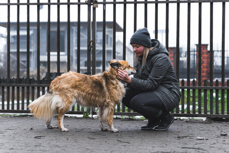 Animals and love. Caucasian woman in warm coat kneeling next to medium mix-breed dog in a private...