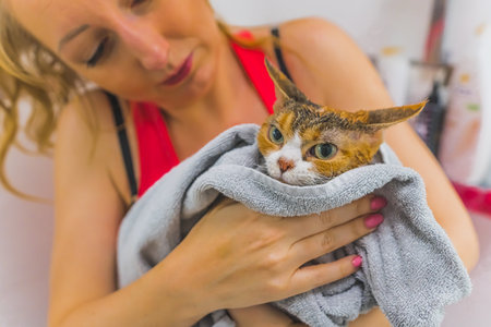 Picture of a woman holding a cat in a grey blanket and looking at it. Calm cat. Medium shot. High quality photoの写真素材