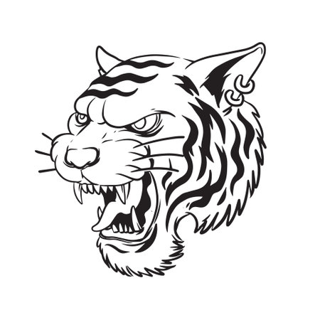 a growling tiger from the side a hand drawn illustrationのイラスト素材