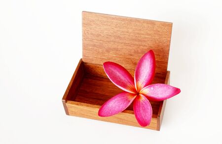 Plumeria in a boxの写真素材