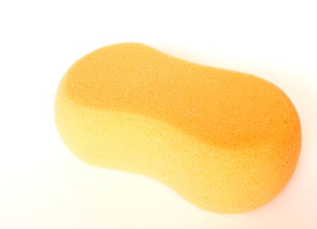 Spongeの写真素材
