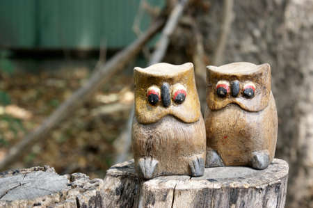 twin wood owlの写真素材