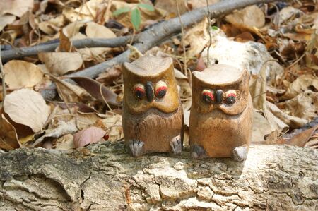 Twin owl in the forestの写真素材
