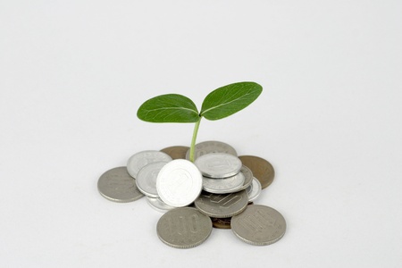 money to growの写真素材
