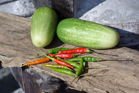 cucumber and bird pepperの写真素材