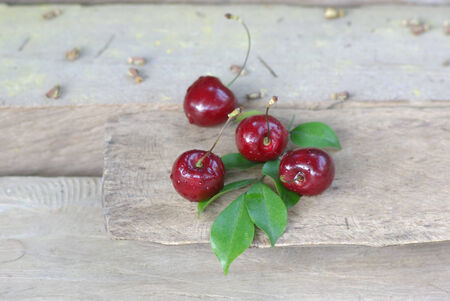 fruit for romanceの写真素材