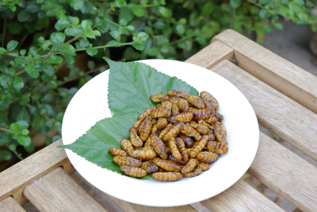 fried silkwormの写真素材