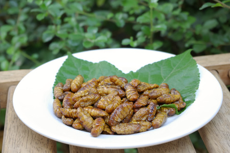 fried silkwormの写真素材