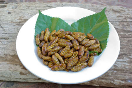 fried silkwormの写真素材