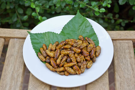 fried bugsの写真素材