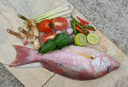 red shapper fish for tom yumの写真素材