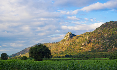 plain for agricultureの写真素材