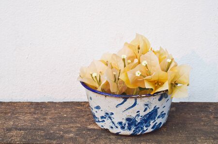 bougainvillea in zinc bowlの写真素材