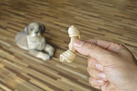 fake bone for dogsの写真素材