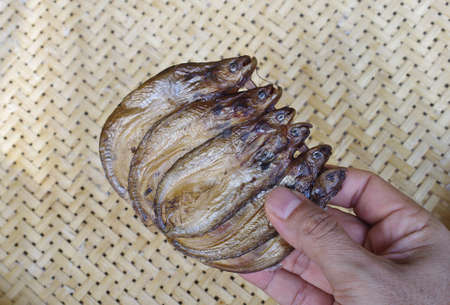 smoked fish from marketの写真素材