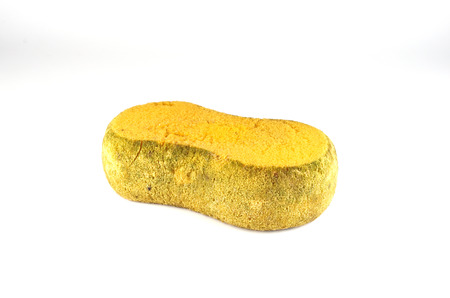 moldy sponge