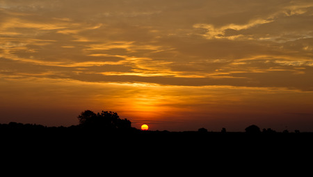 sun to shine in morningの写真素材