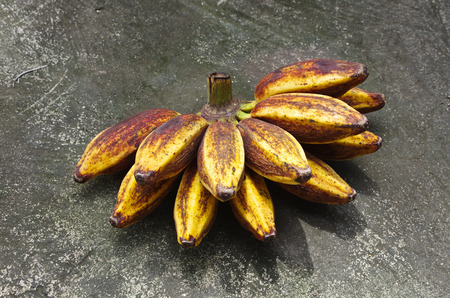 banana from Thailand forestの写真素材
