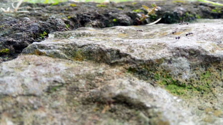 rusty cement grunge texture
