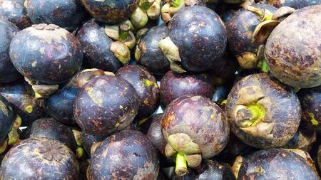 delicious mangosteen