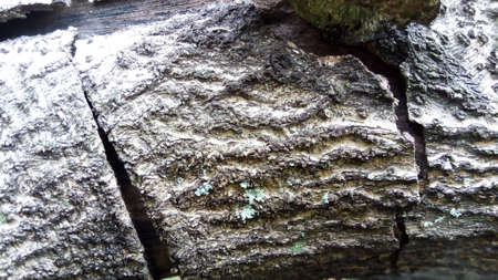 wood rusty pattern