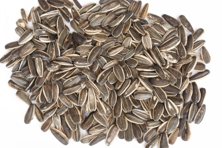 A Lot Black Melon Seeds isolatedの写真素材