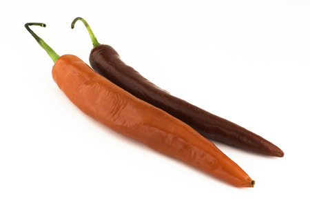 two chili pepper isolated on a white の写真素材