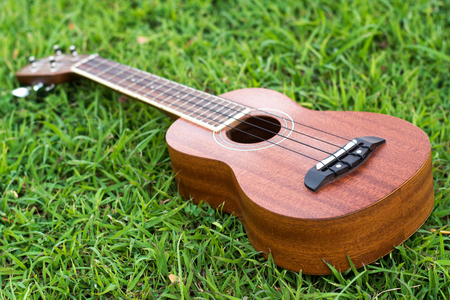 single ukulele on the grassの写真素材
