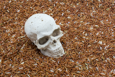 Skull on rice background conceptの写真素材