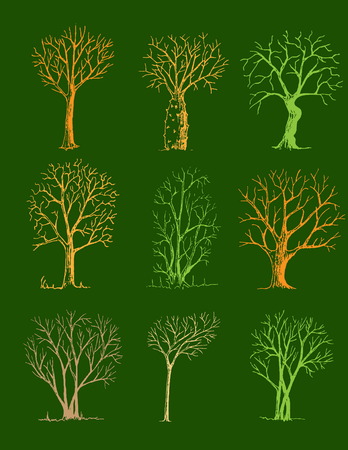 Hand drawn trees isolated, sketch, vintage style trees set on green backgroundのイラスト素材