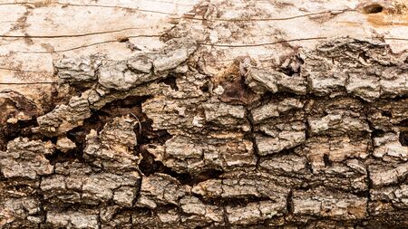 lumber and rough board lay in old factory. close up texture select focus to blur any point.の写真素材