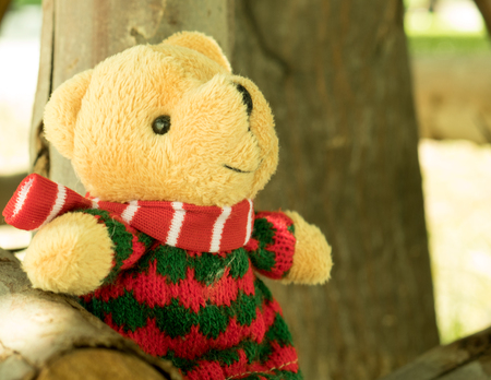 lovely teddy bear travel in garden. cute toy for boy in adventure.の写真素材