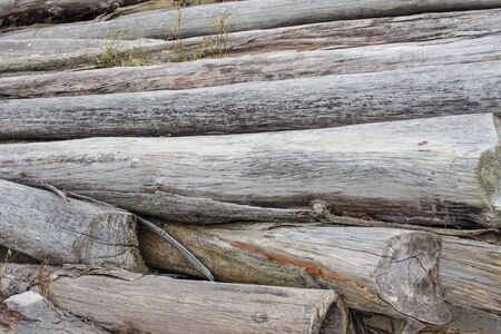 old chopped tree logs stacked up on top of each other in a pile