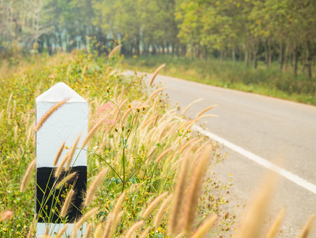 Guidepost beside country road filled with shady trees and meadows in northern of Thailandの写真素材