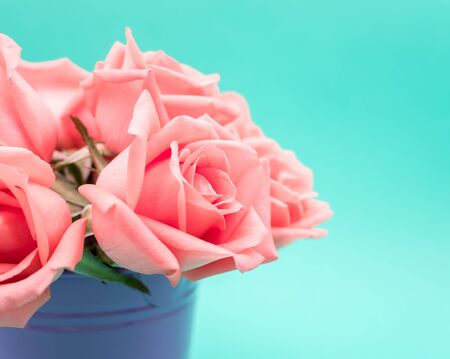 Close-up image of pink beautiful rose flower bouquet in flowerpot with copy space on green background, Pastel colors. Valentine day, love and wedding concept. Selective focusの写真素材