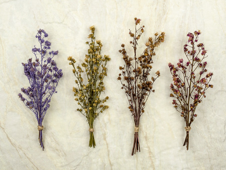 Top view group of bouquet dried and wilted multiple color Gypsophila flowers on matt marble backgroundの写真素材