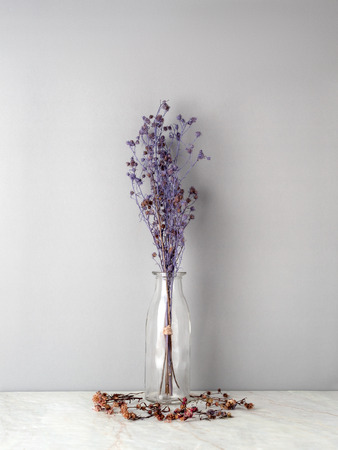 Bouquet of dried and wilted purple Gypsophila flowers in glass bottle on matt marble floor and gray backgroundの写真素材