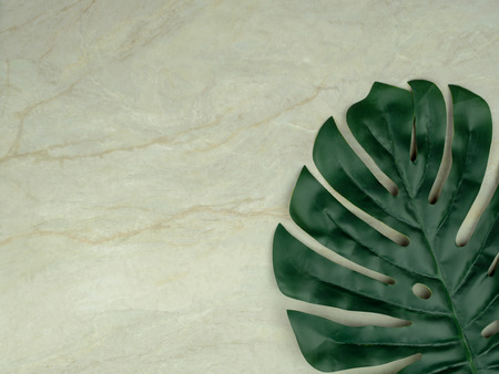 Top view of Monstera leaf on empty brown matt marble for use as background or wallpaper, Copy spaceの写真素材