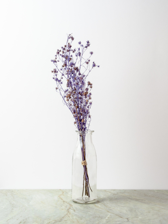 Bouquet of dried and wilted purple Gypsophila flowers in glass bottle on matt marble floor and white backgroundの写真素材