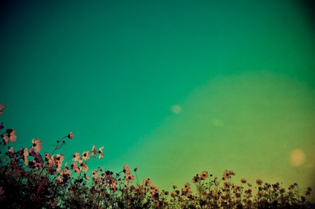 Vintage flowers の写真素材