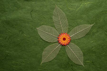 Artificial flower  on mulberry paper backgroundの写真素材