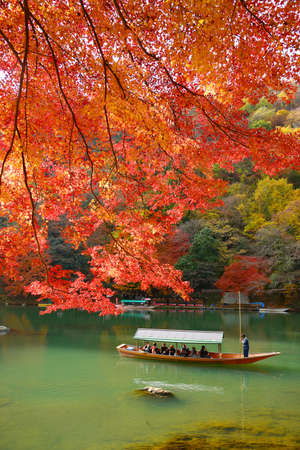 red maple tree in arashiyama with a boat in a riverの写真素材