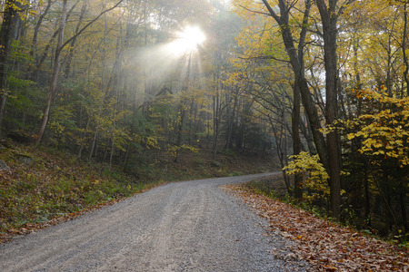 autumn road in west viginia forest