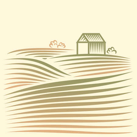 Rural landscape with fields and house のイラスト素材