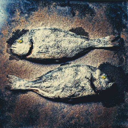 Fish background. design style photoの写真素材