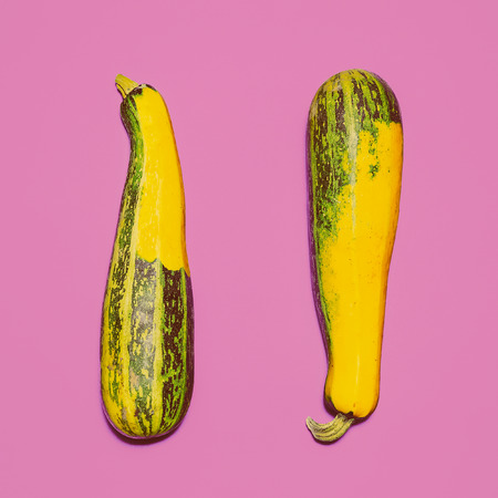 Two zucchini on bright pink background. design Photoの写真素材